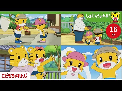 【16分アニメ】 おじいちゃん・おばあちゃんの家で遊ぼう！ | 夏のお出かけ特集 | しまじろうのわお！アニメ | しまじろうチャンネル公式