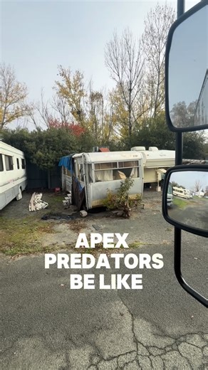 Apex predator on route | Jonah Davison