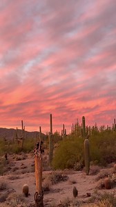 Tonight 15 minutes after sunset on Usery Mountain overlooking the East Valley and downtown Phoenix. The temperature has dropped from 70° to 55° in the 25 minutes it took me to ride home! I’m thankful for shelter. Support a small business this holiday. I’d love to consult on a project for your space. You can purchase Fine Art at TheJeremyJohnson.com or jeremyjohnsonphotos.etsy.com!🤙🏼 | Jeremy Johnson Photography