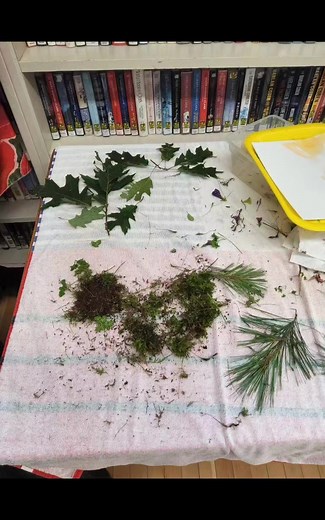 Sunshine Hall Free Library on Reels