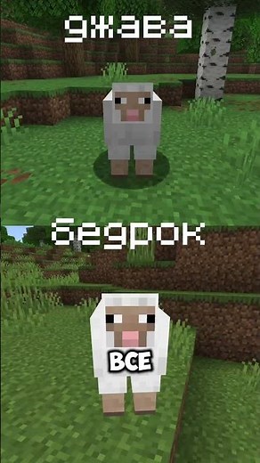 Java vs Bedrock! ВСЕ Отличия Джава и Бедрок Майнкрафта!