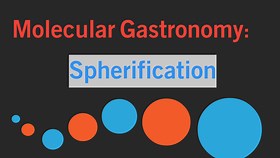 Molecular Gastronomy