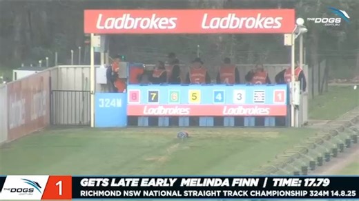 What a wonderful greyhound! 🤩 Gets Late Early is the NSW National Straight Track Champion after taking the final this afternoon at Richmond Race Club - Greyhounds ! She now heads to Queensland to represent NSW in the National Final at The Q on August 30 💙 #thedogs @greyhoundclubsaustralia Queensland Greyhound Racing Club RaceQ | The Dogs