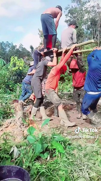 Incentive Programs: Driving Genuine Interactions