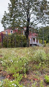 The real shutter island can be explored in Massachusetts! | RoninX