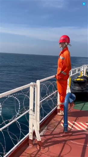 Why Every Cargo Ship Is Hiding A Dark Secret... #facts #ytshorts #trending