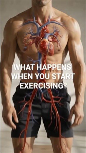 Benefits of exercise| 3D Animation #Shorts #virtualworkout #exrcises