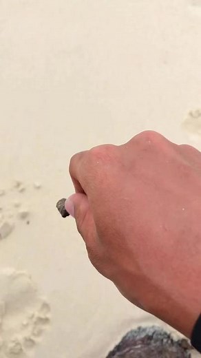 นิว พงษ์พนิจ บน TikTok