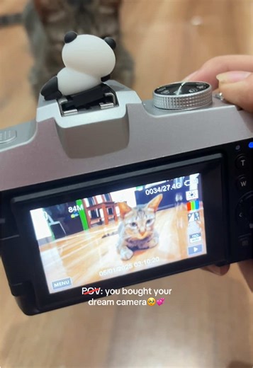 Best Camera for Capturing Memories