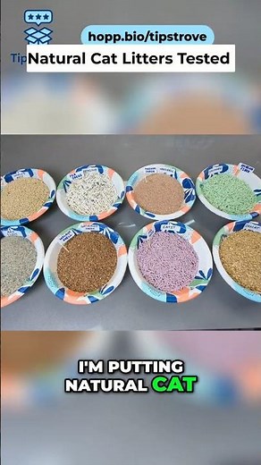 How I Tested 7 Natural Cat Litters