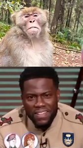 90K views · 257 reactions | Monkey surprised by this act藍藍藍 #funny#funnymemes #funnymemesdailyfollow #funnymemesdailyfollowmyvideo | Facts Galore | Facebook