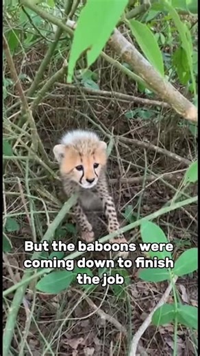 She Jumped In Front Of Me... To Save My Life