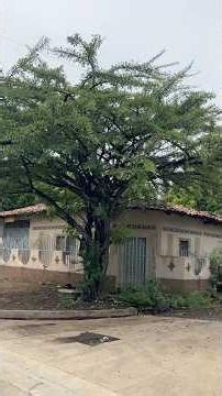 This Is What the Tesoro 2 Neighborhood in San Miguel Looks Like: A Stroll Through Local Homes and...
