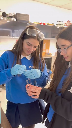 Across two days, 11th Grade Scholars engaged in a fascinating experiment, starting with precise calculations to mix a potent 2M NaCl solution infused with a red dye. They carefully created a red color gradient through serial dilution, leading to day two's absorption analysis using a precisely calibrated spectrophotometer. Through this hands-on experience, our Scholars sharpened their skills in standard laboratory techniques involved in measuring masses to prepare stock solutions, diluting soluti