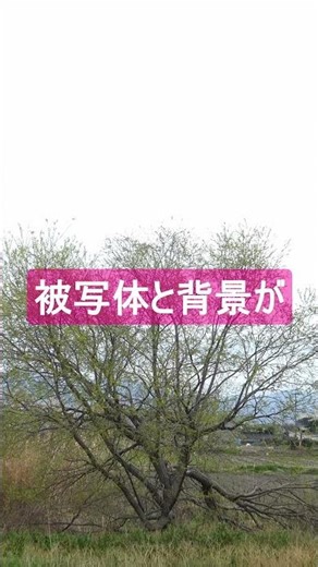 【LUMIX TZ99】ミニマル写真の撮り方