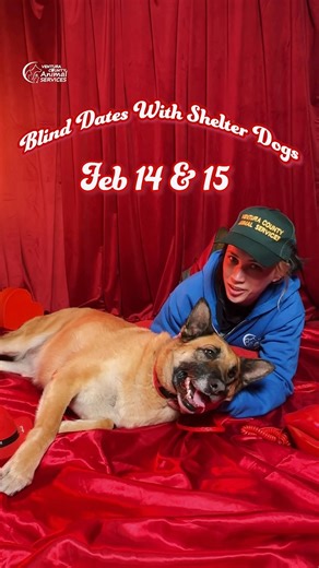 8K views · 203 reactions | Because adopting shouldn’t be based on...