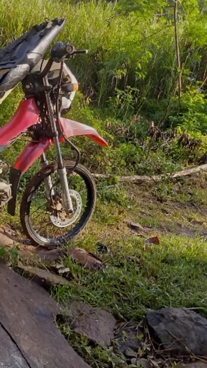 Dong James on TikTok