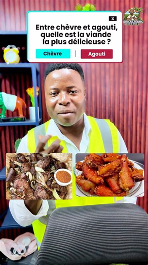 the benefits of grass cutters breeding/ avantages de l'elevage des aulacodes.#Grasscutters #Breeding #avantages #Expeditionaulacodes | Agriculteurs Modernes