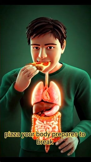 What Happens Inside Your Body When You Eat Pizza 🍕 | 3D Medical Animation #3dmedicalanimation
