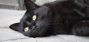 Bidat Ne Demek? Kısaca Anlamı Nedir?