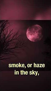A Blood Moon Rises...and Here's Why🌑 | NSTEM