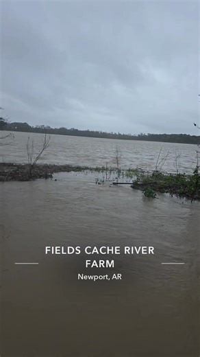 Duck water is in, just add ducks. | Jimbo Fields