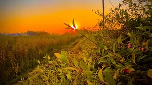 171K views · 10K reactions | মন ছুয়ে যাবে আপনার কথা গুলো শুনে যাবেন...