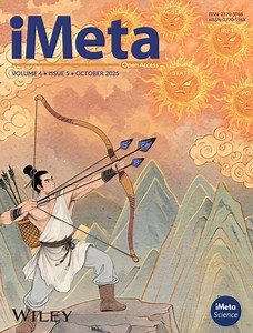 iMeta