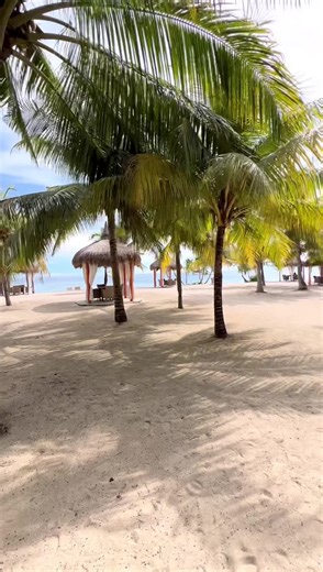 6.3M views · 813K reactions | WELCOME TO SIQUIJOR! ♥️ Tourism Promotions Board Philippines Philippine Motorcycle Tourism #IslaDelFuego #Teaser #Jetlee #lodicakes #teamQ815 #itsmorefuninthephilippines #visayas #ItsMoreFunWithYou #q815clothingandcustomprints Motology Q8 Express Inn Q815 Clothing & Custom Prints Mitas Tires Philippines | Jet Lee | Facebook