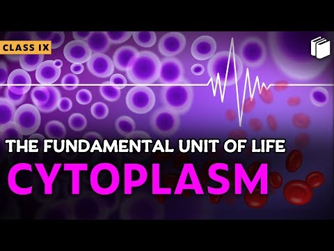 Cytoplasm | Chapter 5 | Class 9 | PuStack