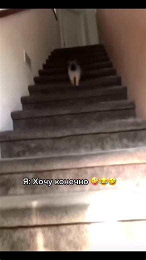 Наталья (@my.dad.is.a.fraek)’s videos with Карнавал - Galibri & Mavik