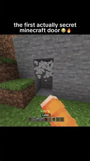 Secret Minecraft Door #songlyrics