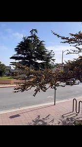 138 reactions · 3 comments | We were created for community by community, and with your support we’ll be able to do even more! Your investment is our future, and every dollar donated to our Monterey Gives Campaign will go toward creating enriching, fun, and special experiences for everyone! https://www.montereycountygives.com/nonprofit/pacific-grove-museum-of-natural-history/#PGmuseum #MontereyCountyGives #TaxDeductible #Community #Museum | Pacific Grove Museum of Natural History | Facebook