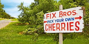 The 10 Best Places to Pick Your Own Cherries