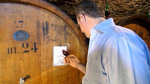 The Ricasoli Family's Wine Tradition & Chianti's Landscape | Britannica