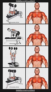 197K views · 3.8K reactions | ✅ Dumbbell Push Day ① Dumbbell Press ② Kickbacks ③ Shoulder Press ④ Tate Press 3 sets 10-12 reps #fitness #gym #exercise #workout #workoutroutine #exercisetips #fitnesstips #bodybuilding #pushday #chestday | Fitnesslabo | Facebook