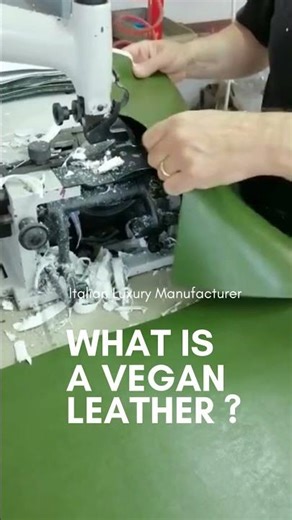 WHAT IS A VEGAN LEATHER? 🍏🍇🍎 #environment #vegan #fake #leather #bag