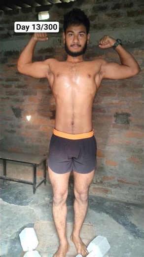 [ Day 13/300 ] Workout Challenge |Full Body Muscle Gain | fitness journey