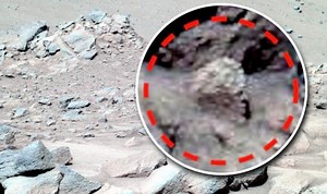 Alien hunter finds photo evidence of ‘City on Mars’