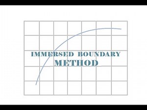 Immersed Boundary Method with Direct Forcing Approach