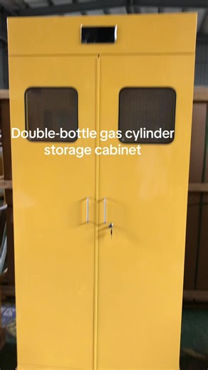 Double-Bottle Gas Cylinder Storage Cabinet Overview