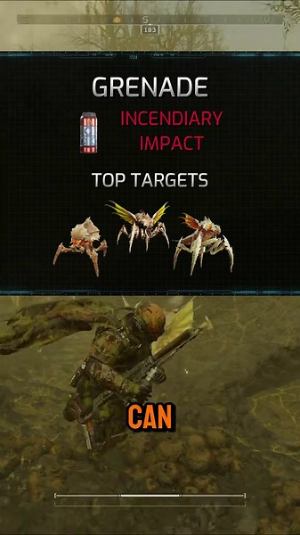 Scriptomancy on TikTok