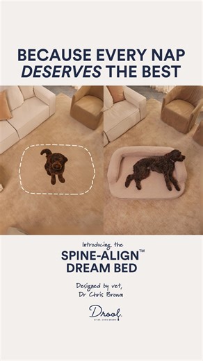 When your pet spends more than half their life sleeping 💤🐶🐱 that “nap spot” really matters. That’s why I designed the SpineAlign™ Dream Bed to support their spine, joints and every dreamy stretch in between. This bed is about more than just comfort. It’s care. It’s support. It’s the kind of sleep that helps them wake up ready to play, chase, cuddle… or nap all over again. Your pet’s best sleep starts here 💙😴 I wish we could send them everywhere… But for now, my SpineAlign™ Dream Beds are on