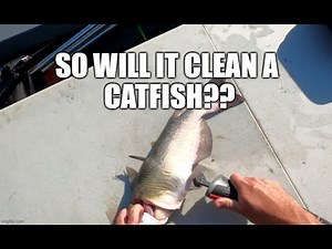 Rapala R12 Lithium Fillet Knife VS Catfish