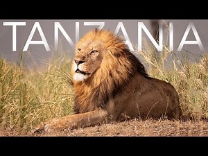 TANZANIA | Safari Wildlife 4K Lumix GH5