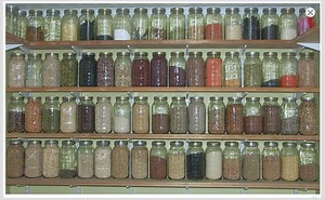 Which foods have lower Lead levels? Tamara's food list (including foods we try to avoid at all costs)!