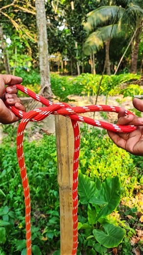 Wow.. The very effective and easy knot!