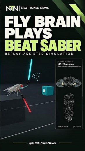 A Simulated Fly Brain Plays Beat Saber