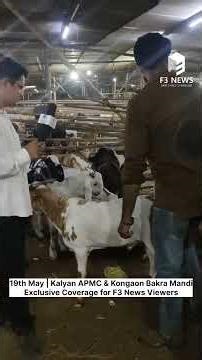 Exclusive visit APMC Bakra Mandi & Kongaon Bakra Mandi Kalyan