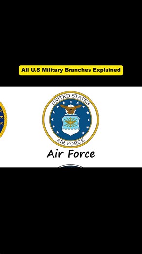 Understanding the U.S. Military Branches: Roles and Strengths